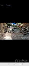 bici nuove da passeggiata 