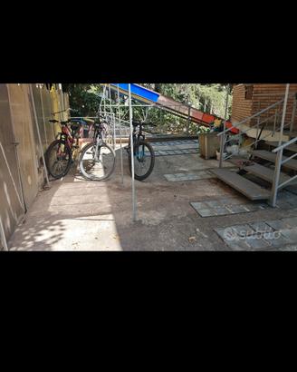 bici nuove da passeggiata 
