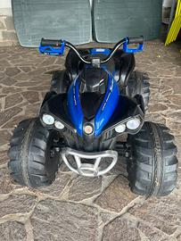 Quad elettrico