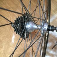 Ruote campagnolo