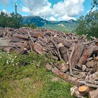 legna  da ardere
