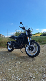 Benelli leoncino 500 trail 2023
