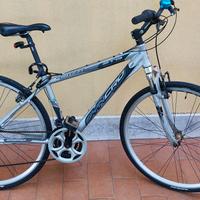 City bike Nuzzi Syncro