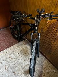 Bicicletta eletrico