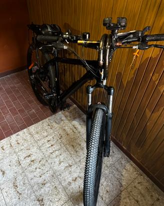 Bicicletta eletrico