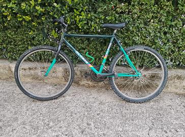 Bicicletta Mountain Bike