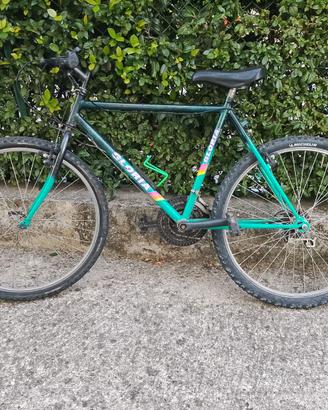 Bicicletta Mountain Bike