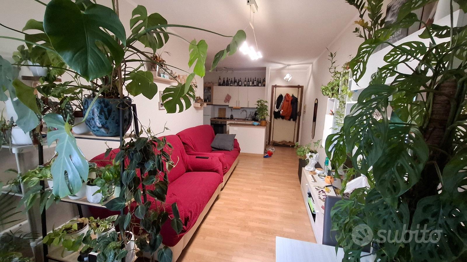 Apartment in Terni, Cospea - Vista 2