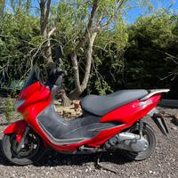 Suzuki epicuro