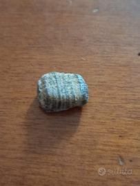 Pietra fossile a scacchi griglia naturale 2cm rara