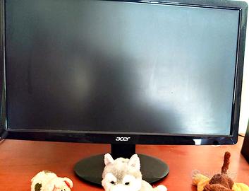 monitor per PC 18 pollici 