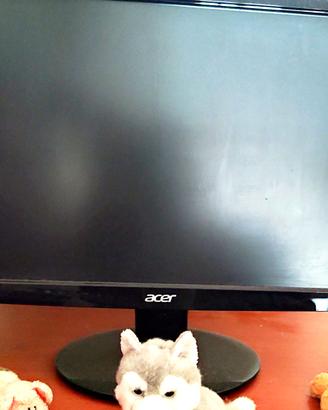 monitor per PC 18 pollici 