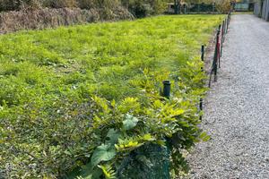 Terreno Edificabile (Busto Arsizio)