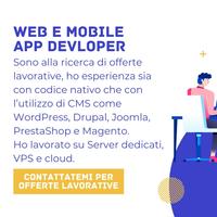 Web Master / Programmatore App / Sviluppatore Web