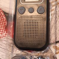 Amplificatore acustico