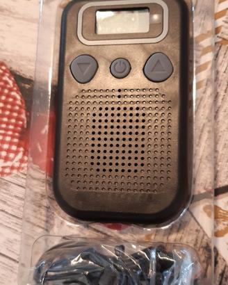 Amplificatore acustico