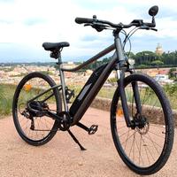 Bicicletta Elettrica 