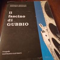 Libri su Gubbio