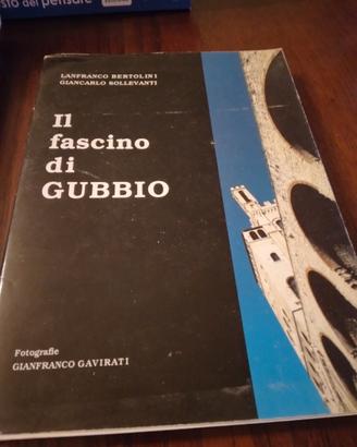 Libri su Gubbio