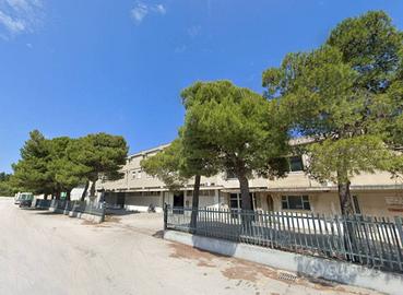 Immobile in asta di 7629 m² a Loreto