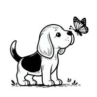 Beagle Maschi tricolore