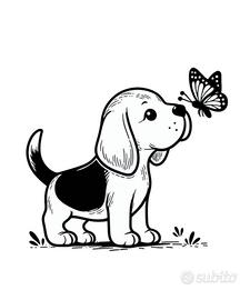 Beagle Maschi tricolore