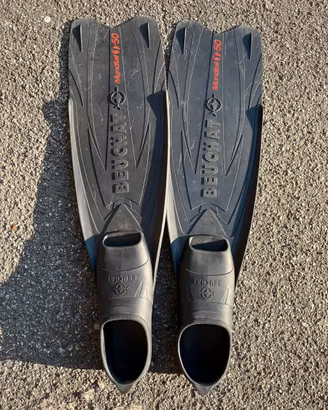 Pinne apnea 45-46