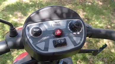 deambulatore elettrico scott
