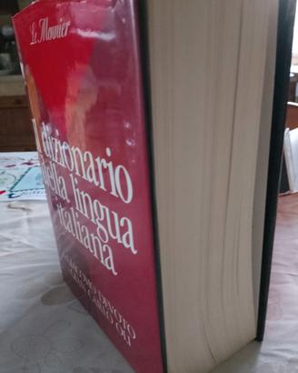 Dizionario lingua italiana