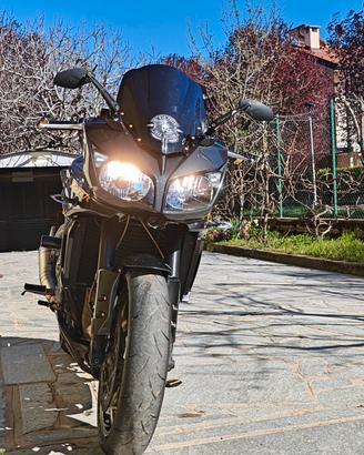 Specchietti Yamaha FZ1S