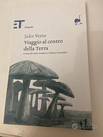 Viaggio al centro della terra di Jules Verne.