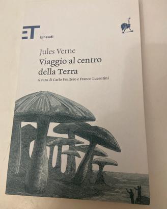 Viaggio al centro della terra di Jules Verne.