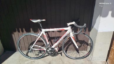 Bici strada carbonio 