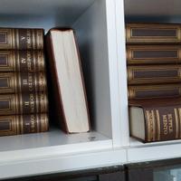 Dizionario enciclopedico italiano 