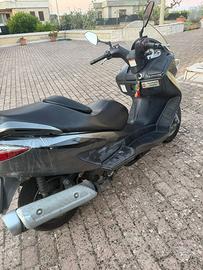 burgman