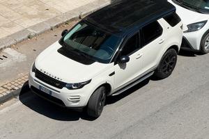 Discovery sport HSE 250 cavalli