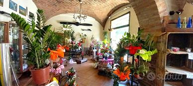 2 LOCALI A COLORNO