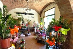 2 LOCALI A COLORNO
