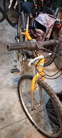 2 biciclette