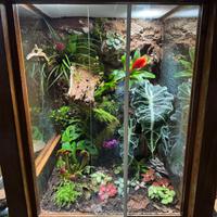 Sfondi 3d per terrari