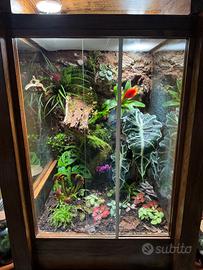 Sfondi 3d per terrari