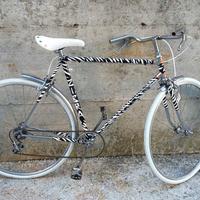 Bicicletta da uomo 
