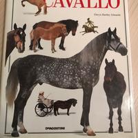 Il libro completo del cavallo