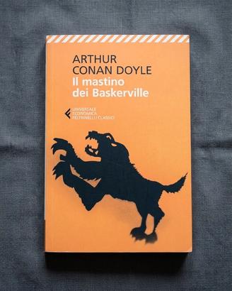 Libro Il mastino dei Baskerville - Conan Doyle