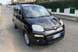 Fiat Panda 1.2 Lounge - IDEALE NEOPATENTATI - PRON