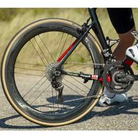 Campagnolo Bora WTO 60 Adesivi sticker decals