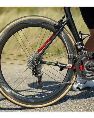 Campagnolo Bora WTO 60 Adesivi sticker decals