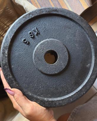 SET PESI GHISA 102 KG + BILANCIERE – PALESTRA