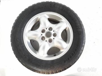 Cerchi e Gomme  Freelender 1