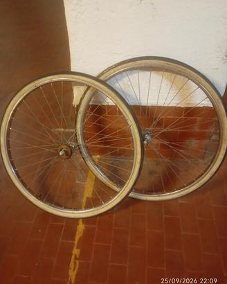 cerchi bicicletta 